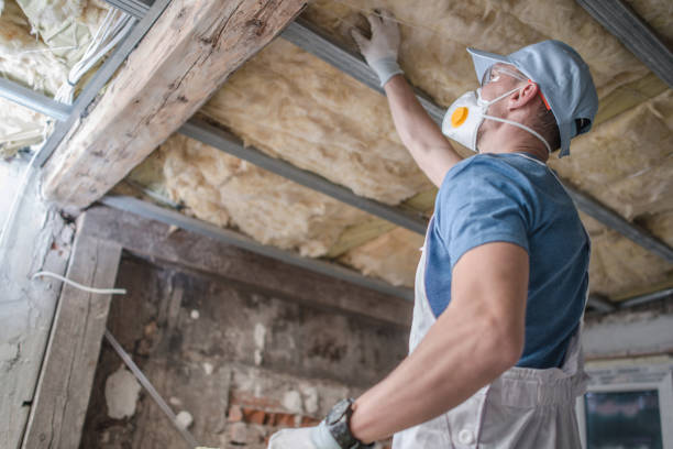 Best Eco-Friendly Insulation in Sandoval, IL