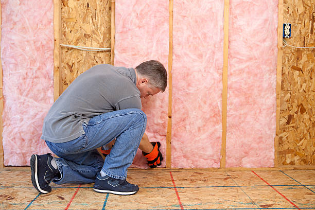 Professional Insulation Contractor in Sandoval, IL