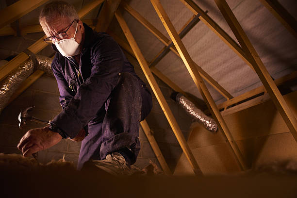 Best Commercial Insulation in Sandoval, IL