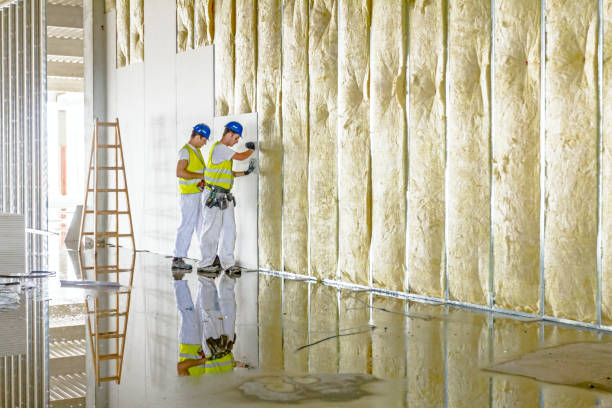Best Geographic-Specific Insulation Services in Sandoval, IL